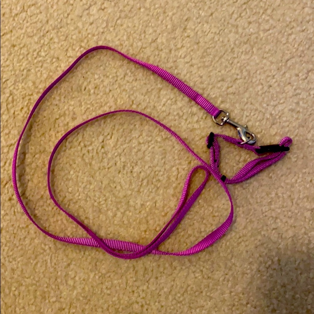 Collar & Leash
